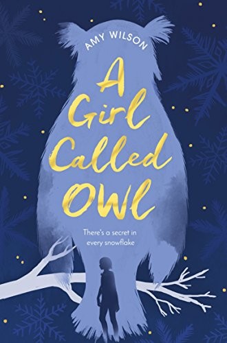 Cover of A Girl Called Owl