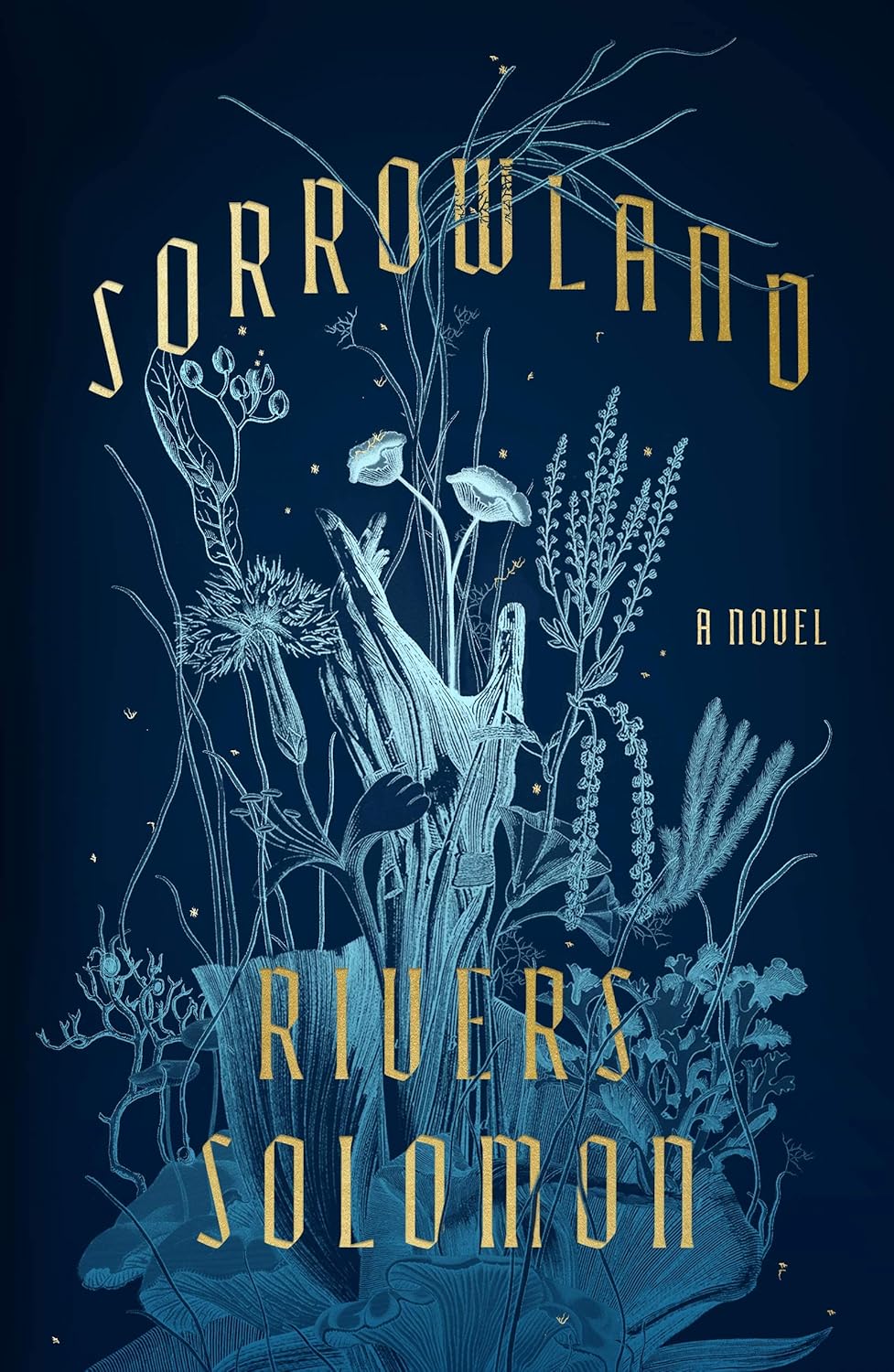 Cover of Sorrowland