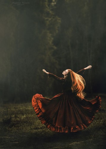 Cover of The bird and the sword