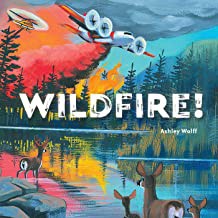 Cover of Wildfire!