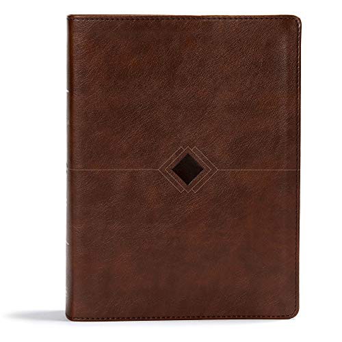 Cover of CSB Day-by-Day Chronological Bible, Brown LeatherTouch, Black Letter, 365 Days, One Year, Sewn Binding, Easy-to-Read Bible Serif Type