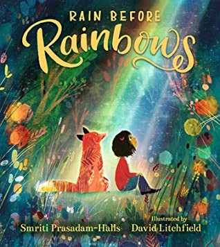 Cover of Rain Before Rainbows