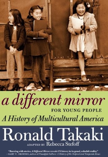 Cover of A different mirror for young people