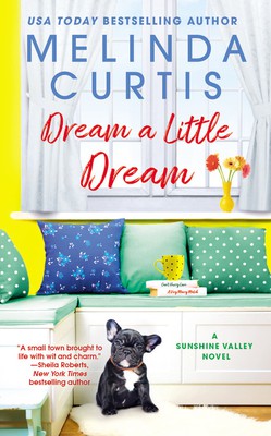 Cover of Dream a Little Dream