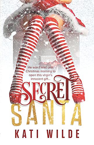 Cover of Secret Santa