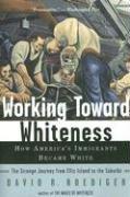 Cover of Working Toward Whiteness: How America's Immigrants Became White