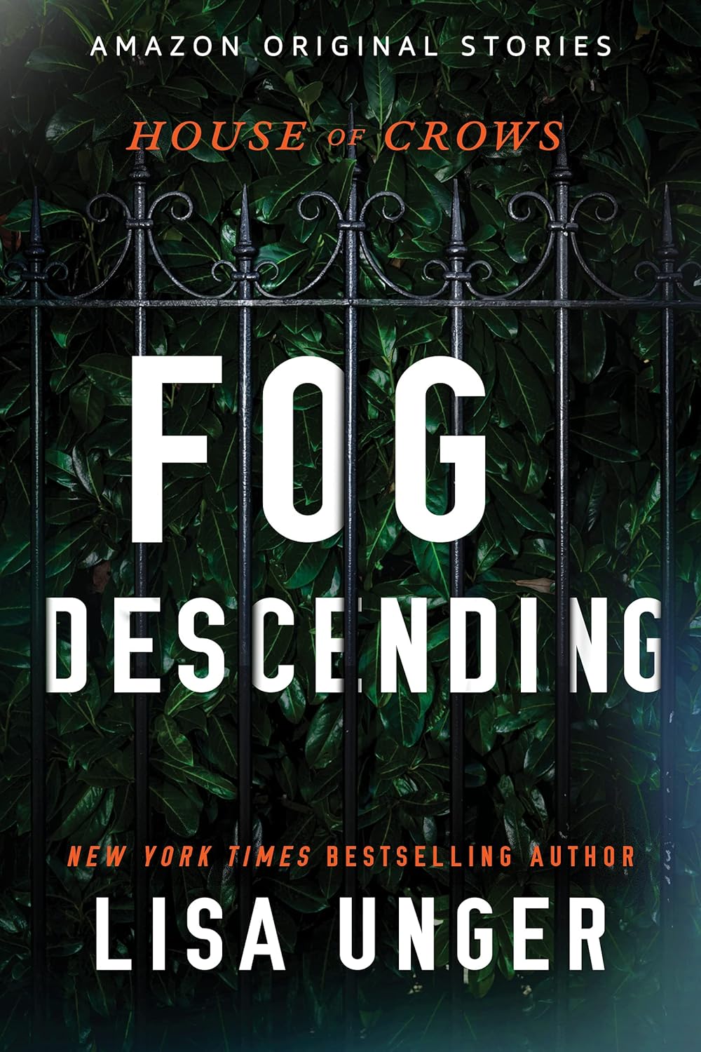 Cover of Fog Descending