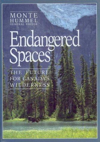 Cover of Endangered spaces