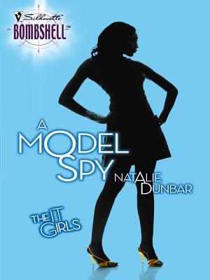 Cover of A Model Spy