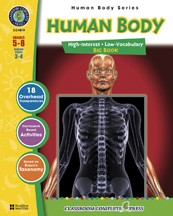 Cover of Human Body Big Book