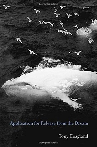 Cover of Application for Release from the Dream