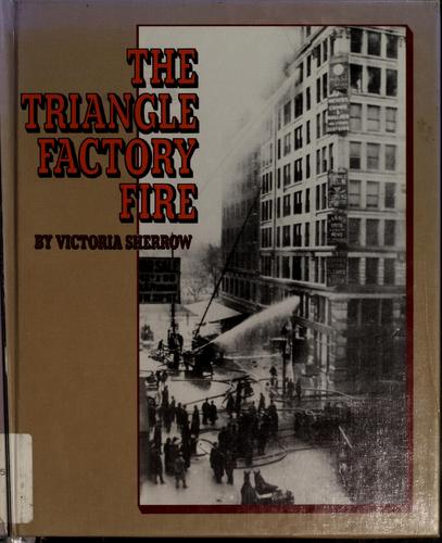Cover of The Triangle Factory Fire