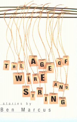 Cover of The Age Of Wire And String