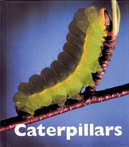 Cover of Caterpillars