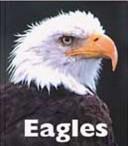 Cover of Eagles