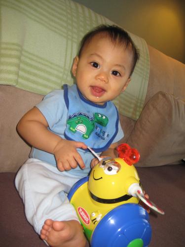 Cover of Baby's First Year