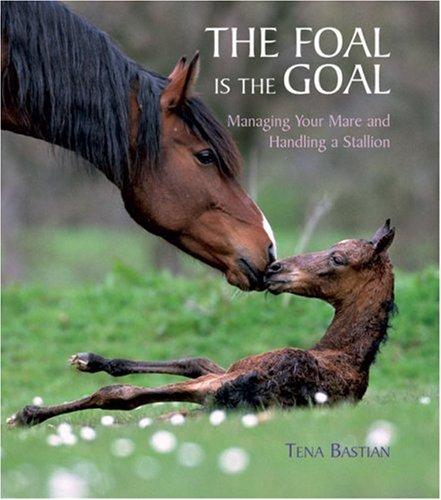 Cover of The foal is the goal