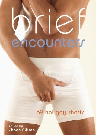 Cover of Brief Encounters: 69 Hot Gay Shorts