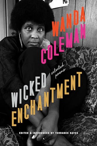 Cover of Wicked Enchantment
