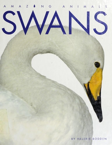 Cover of Swans
