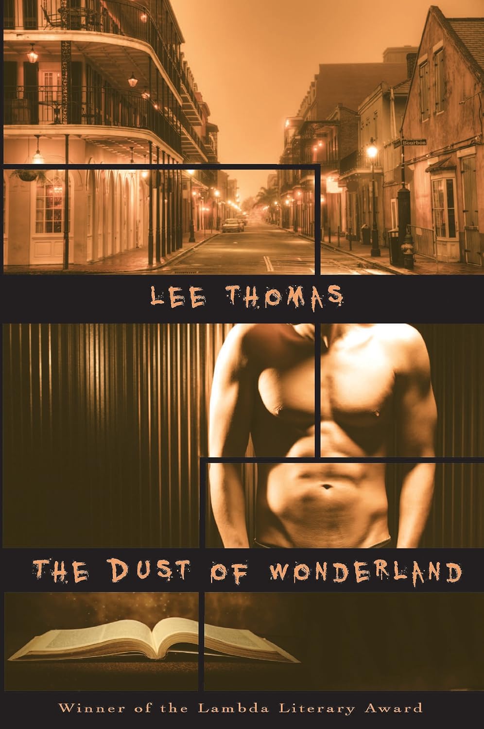 Cover of The Dust of Wonderland