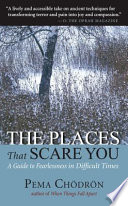 Cover of The Places that Scare You