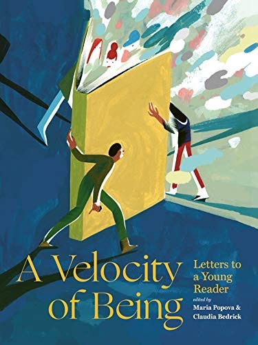 Cover of A Velocity of Being