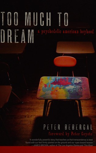 Cover of Too much to dream