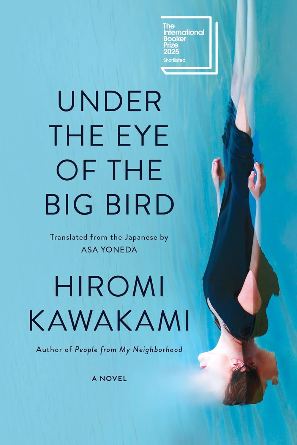 Cover of Under the Eye of the Big Bird