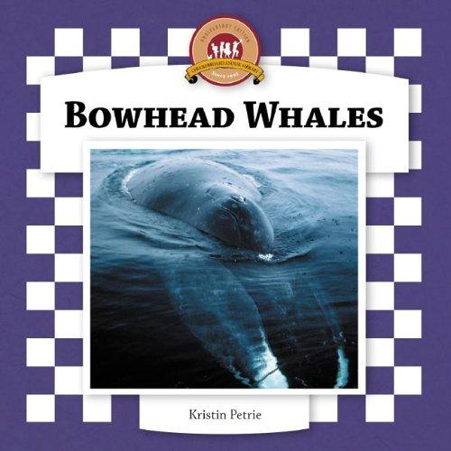Cover of Bowhead Whales (Whales Set II)