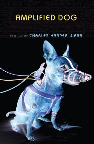 Cover of Amplified Dog