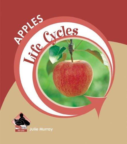 Cover of Apples (Life Cycles)