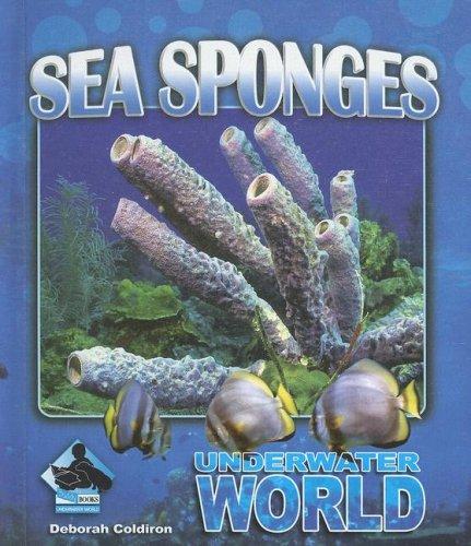 Cover of Sea Sponges (Underwater World)
