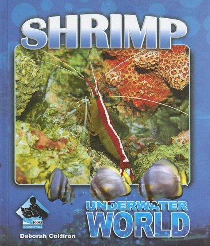 Cover of Shrimp (Underwater World)