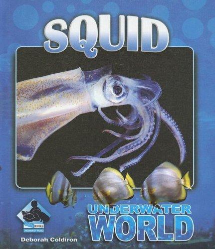 Cover of Squid (Underwater World)