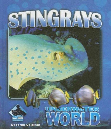 Cover of Stingrays (Underwater World)