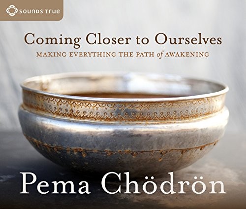 Cover of Coming Closer to Ourselves