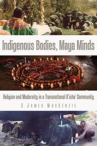 Cover of Indigenous Bodies, Maya Minds
