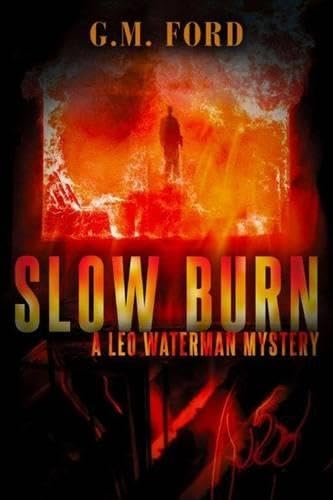 Cover of Slow Burn