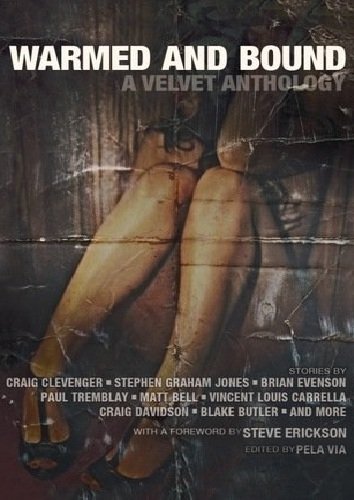 Cover of Warmed and Bound: A Velvet Anthology