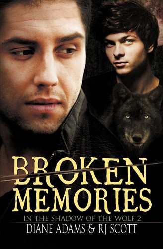 Cover of Broken Memories