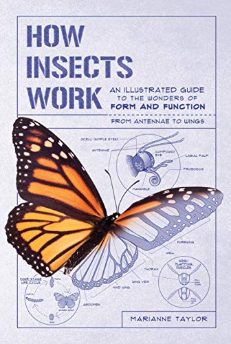 Cover of How Insects Work