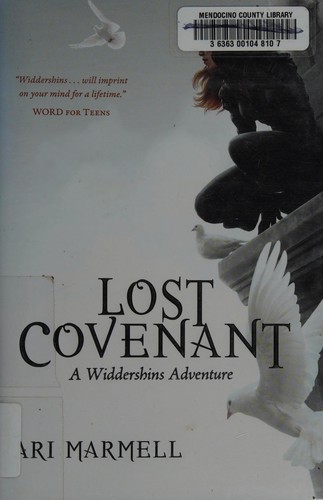 Cover of Lost covenant
