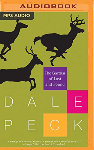 Cover of The garden of lost & found