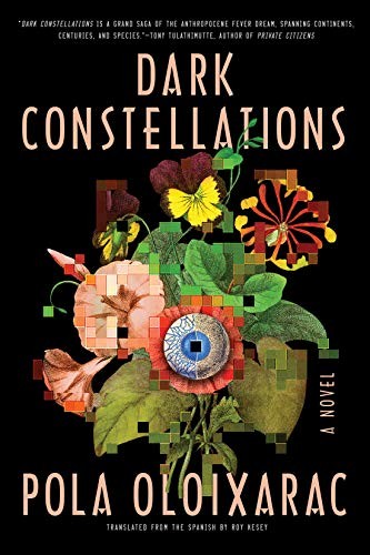 Cover of Dark Constellations