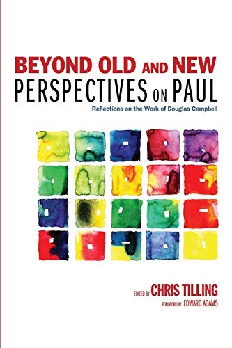 Cover of Beyond Old and New Perspectives on Paul