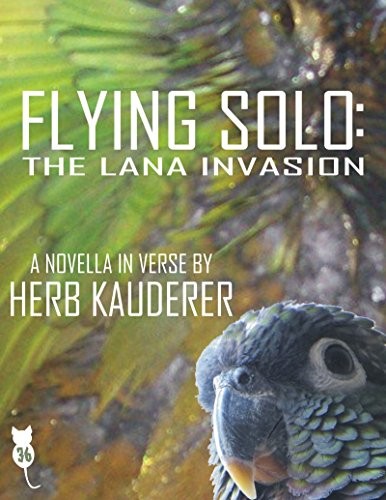 Cover of Flying Solo: The Lana Invasion