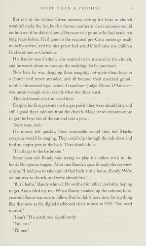 Cover of More Than a Promise