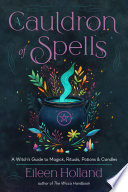 Cover of A Cauldron of Spells