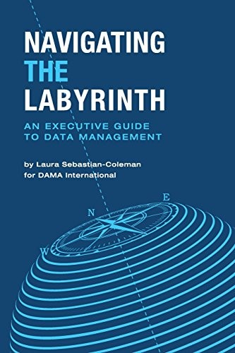 Cover of Navigating the Labyrinth: An Executive Guide to Data Management